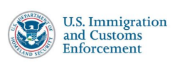 Immigration & Customs